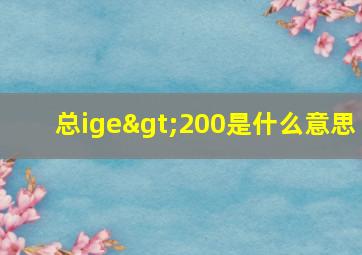 总ige>200是什么意思